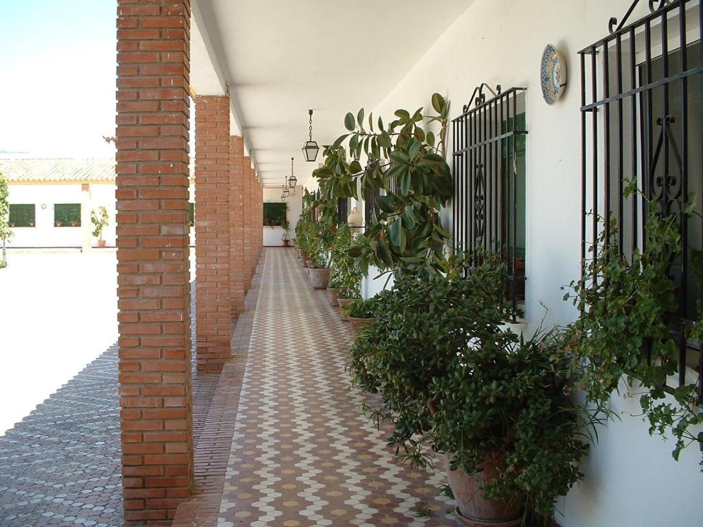 Cortijo De Frias Apartment Cabra Room photo